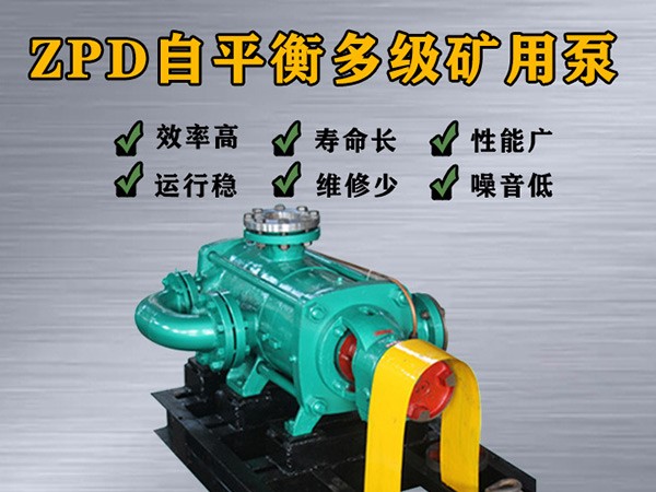 ZPD46-30×（2-10）自平衡多级离心泵
